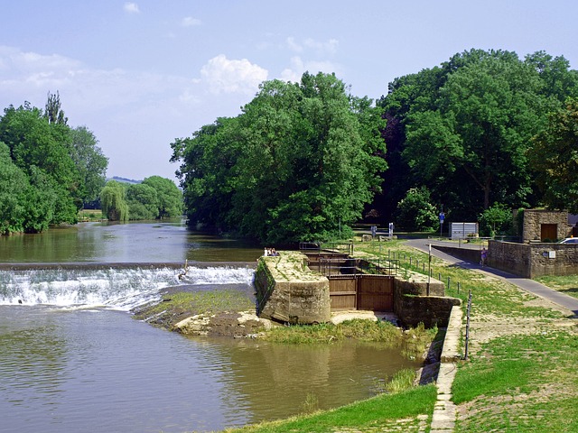 image gallery 1